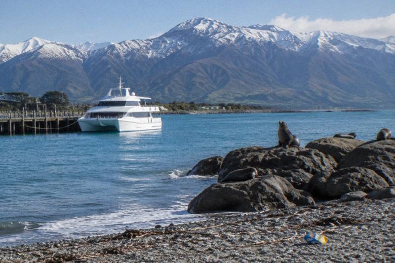11-Hour Whale Watch Day Trip