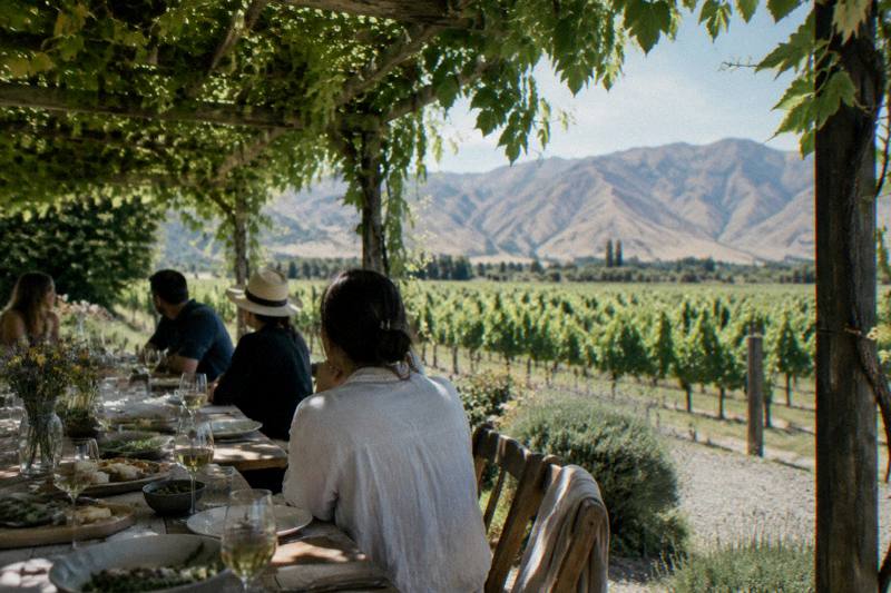 Waipara Wine Trail With Lunch